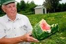 melon farmer.jpg