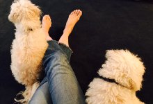 Jenna-Elfman-Feet-2781969.jpg