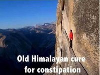 Himalayan Cure.jpg
