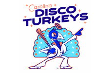 disco-turkeys-header.png
