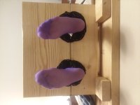 purple nylons.jpg