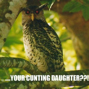 Pazuzu-Owl is very concerned about your child's behaviour
