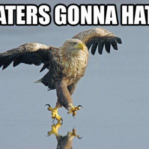 haters