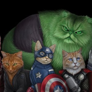 catvengers1