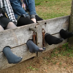 Tights and grey pantyhose in the stocks
