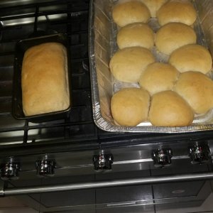 So proud  freshly baked loaf and rolls 🤗🤗