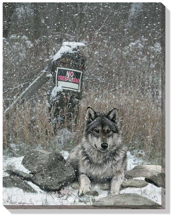 Love this wolf painting