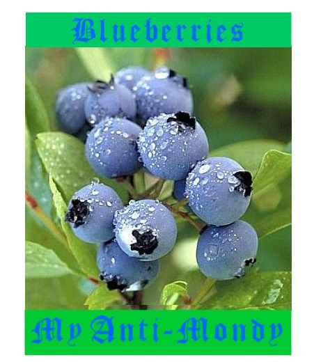 Blueberrybackground-1.jpg