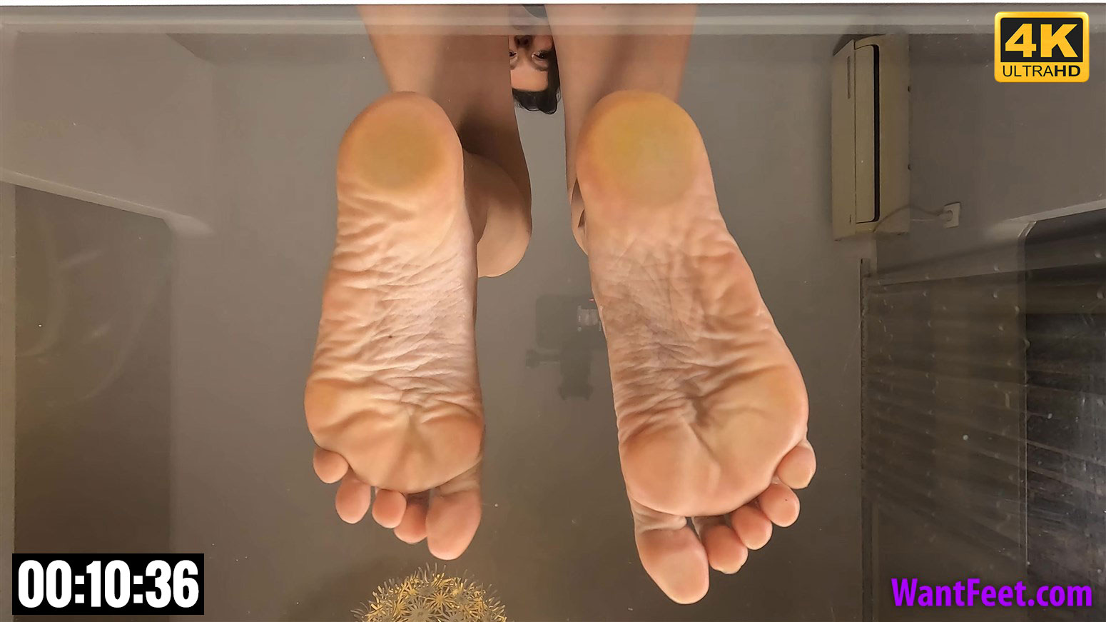 Dora-Soles-on-Glass.jpg