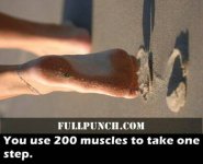 health_facts_you_might_be_interested_to_know_23_photos7.jpg
