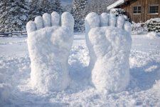 Just Pennsylvania.jpg