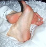 44.jpg