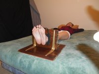 busy day 009.JPG busy day 009.JPG