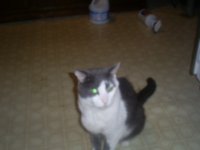 Picture 020.jpg