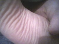 IMG_222311.jpg
