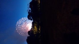 Fireworks4.jpg