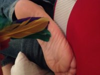IMG_0229.JPG