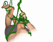 lianatry1.png