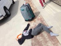 hartley williams.jpg hartley williams.jpg