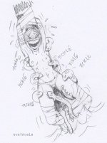 tickles16a.jpg