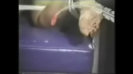 Snapshot 2 (7-17-2015 12-45 AM).png