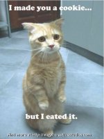 cookie_cat-786090.jpg