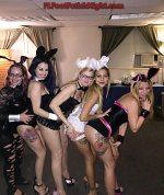 bunnies.jpg bunnies.jpg