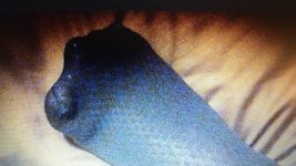 20150521_070050.jpg