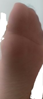 IMAG0645_1.jpg