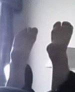 11823964_879222115496310_642579832_n.jpg 11823964_879222115496310_642579832_n.jpg