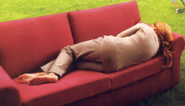 Couch on grass.png