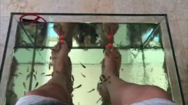 Lilly-Singh-Feet-1662590.jpg