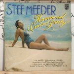 STEF-MEEDER-(HAMMOND-CRUISE-PARTY).jpg