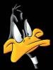Looney-Tunes---Daffy-Duck--C1175480.jpg