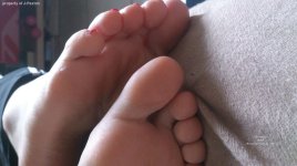 m13151234-5936.JPG