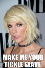 Taylor Meme2.jpg