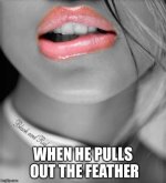 image.jpeg image.jpeg