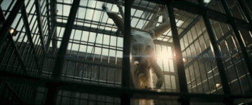 harley quinn 2.gif