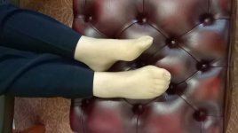 WP_20160919_11_45_04_Pro.jpg