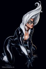 14.Black Cat.jpg