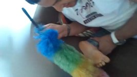 Broma A Colleme Os Guisantes JaJaJa (HD) - YouTube.jpg