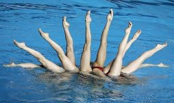 synchronized swimming 4.jpg