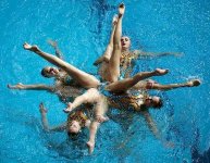 synchronized swimming d.jpg