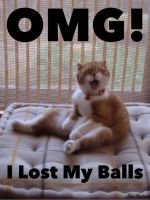 _lost_my_balls___by_sin_fairy-d72hmw2.jpg