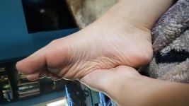 DSC_0123.JPG