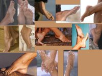pamela_anderson-feet-5.jpg