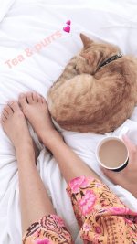 Ashley-Madekwe-Feet-2714415.jpg Ashley-Madekwe-Feet-2714415.jpg