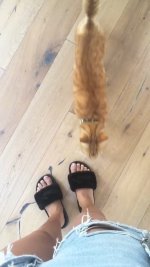 Ashley-Madekwe-Feet-2715313.jpg Ashley-Madekwe-Feet-2715313.jpg