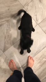 Elizabeth-Henstridge-Feet-2717605.jpg Elizabeth-Henstridge-Feet-2717605.jpg