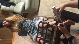 IMG_1785.JPG IMG_1785.JPG